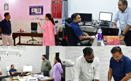 *जिला निर्वाचन पदाधिकारी ने विशेष गहन पुनरीक्षण कार्य का किया निरीक्षण*