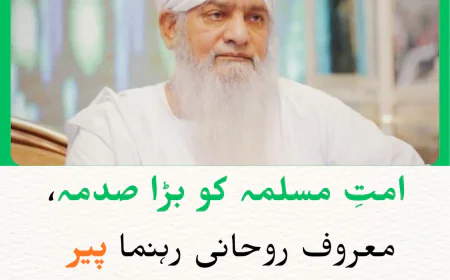 امتِ مسلمہ کو بڑا صدمہ، معروف روحانی رہنما پیر ذوالفقار صاحبؒ کا وصال